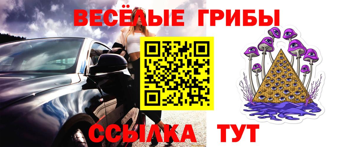 Псилоцибиновые грибы Psilocybe Канаш