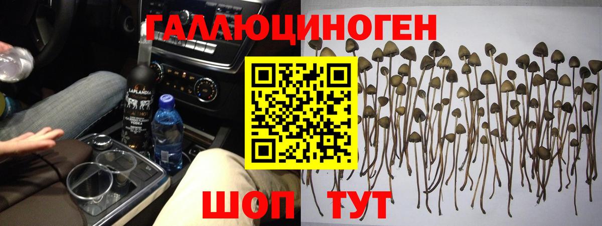 Канаш  Псилоцибиновые грибы ЛСД  Вход с VPN 